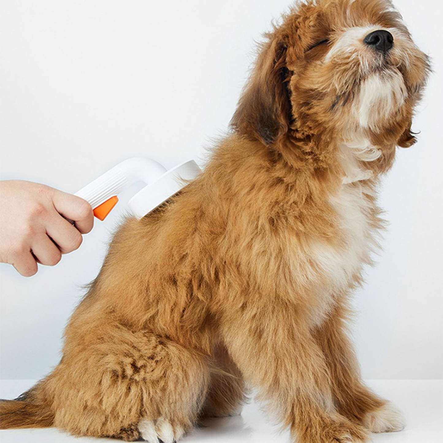 PET GROOMING BRUSH 2.0