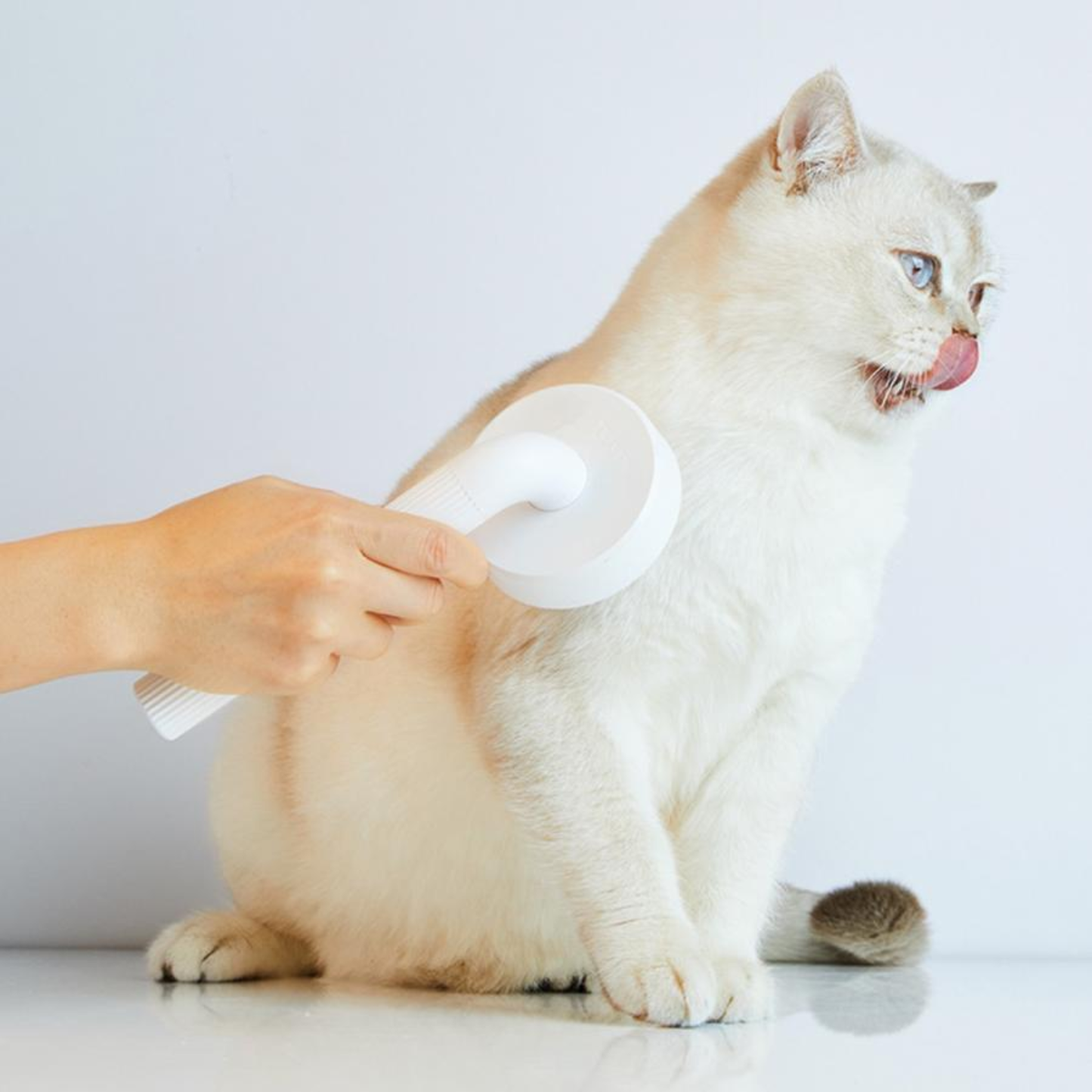 PET GROOMING BRUSH 2.0