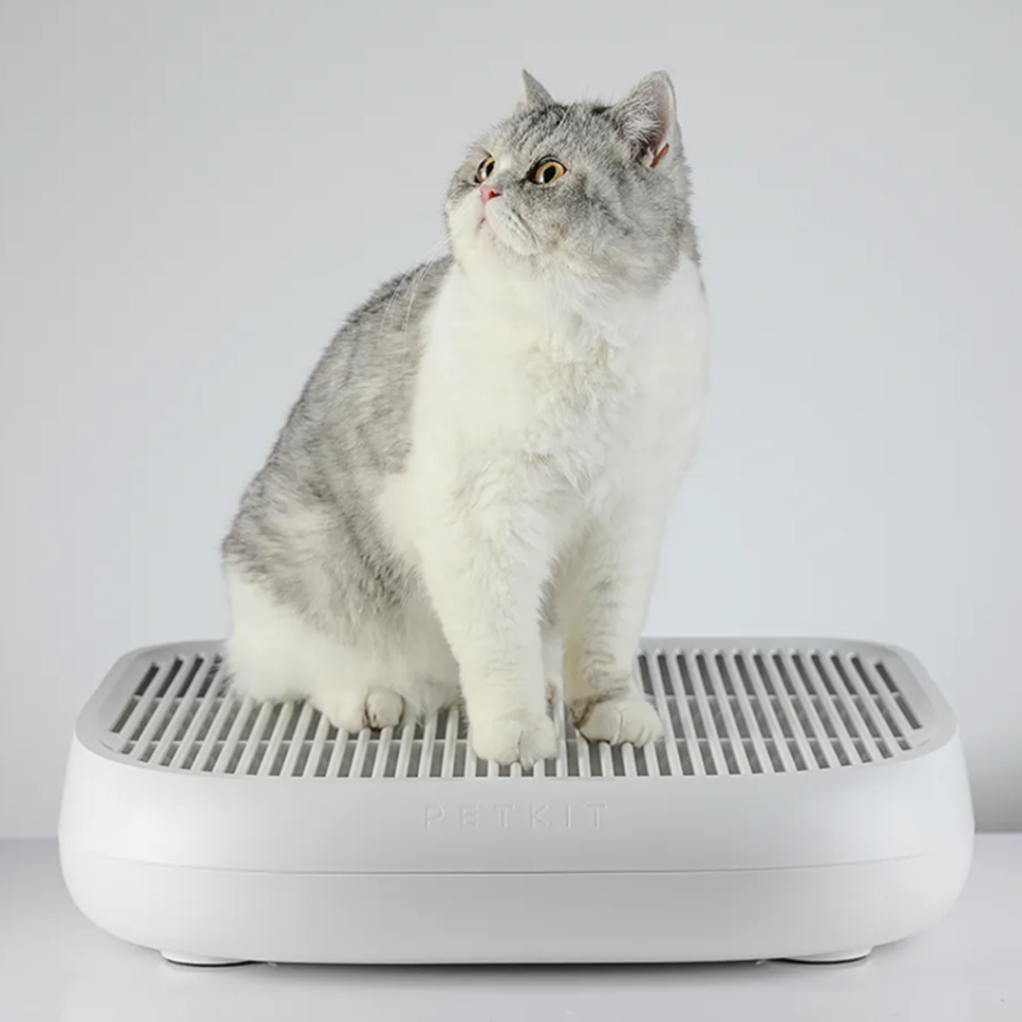 CAT LITTER TRAPPER