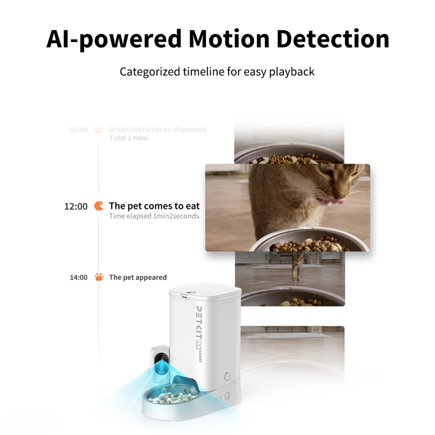 MAX FOUNTAIN AND YUMSHARE SOLO CAMERA FEEDER BUNDLE