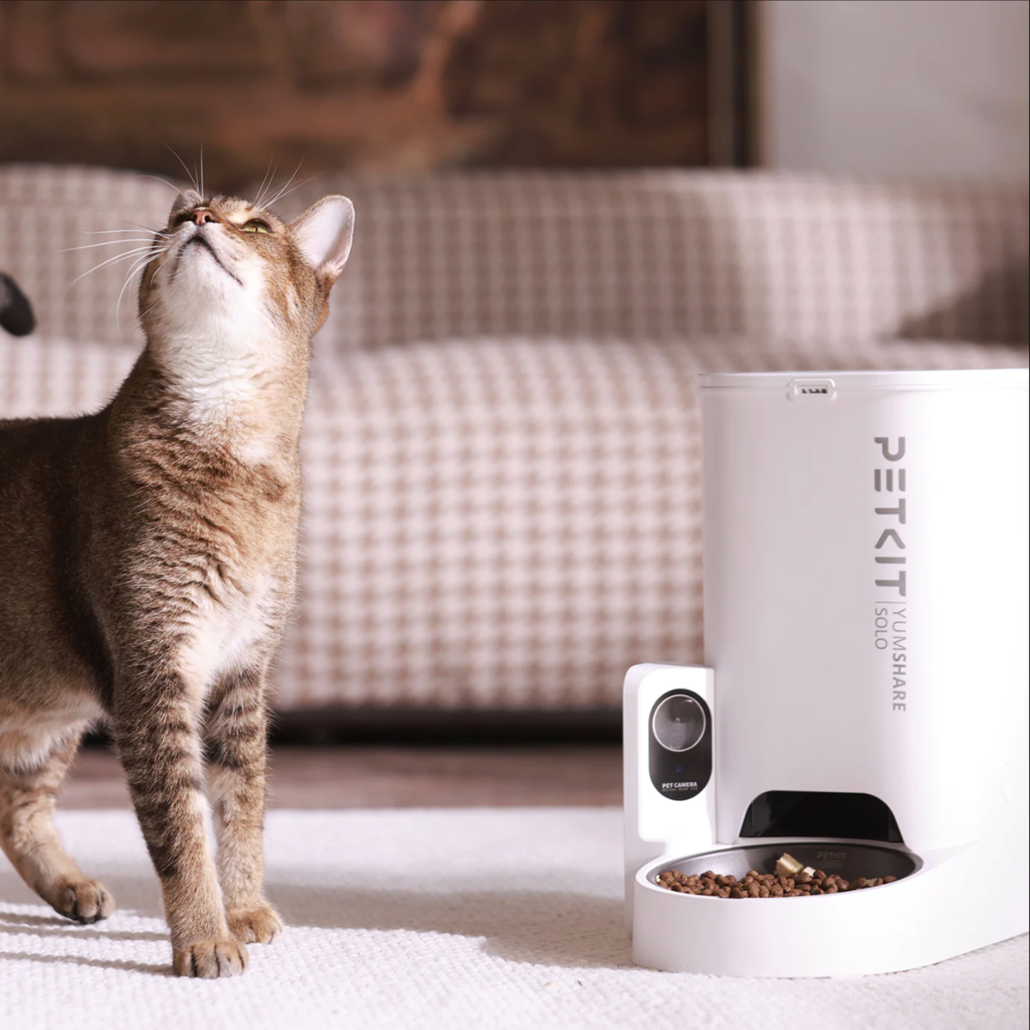 YUMSHARE SOLO AUTOMATIC FEEDER WITH CAMERA