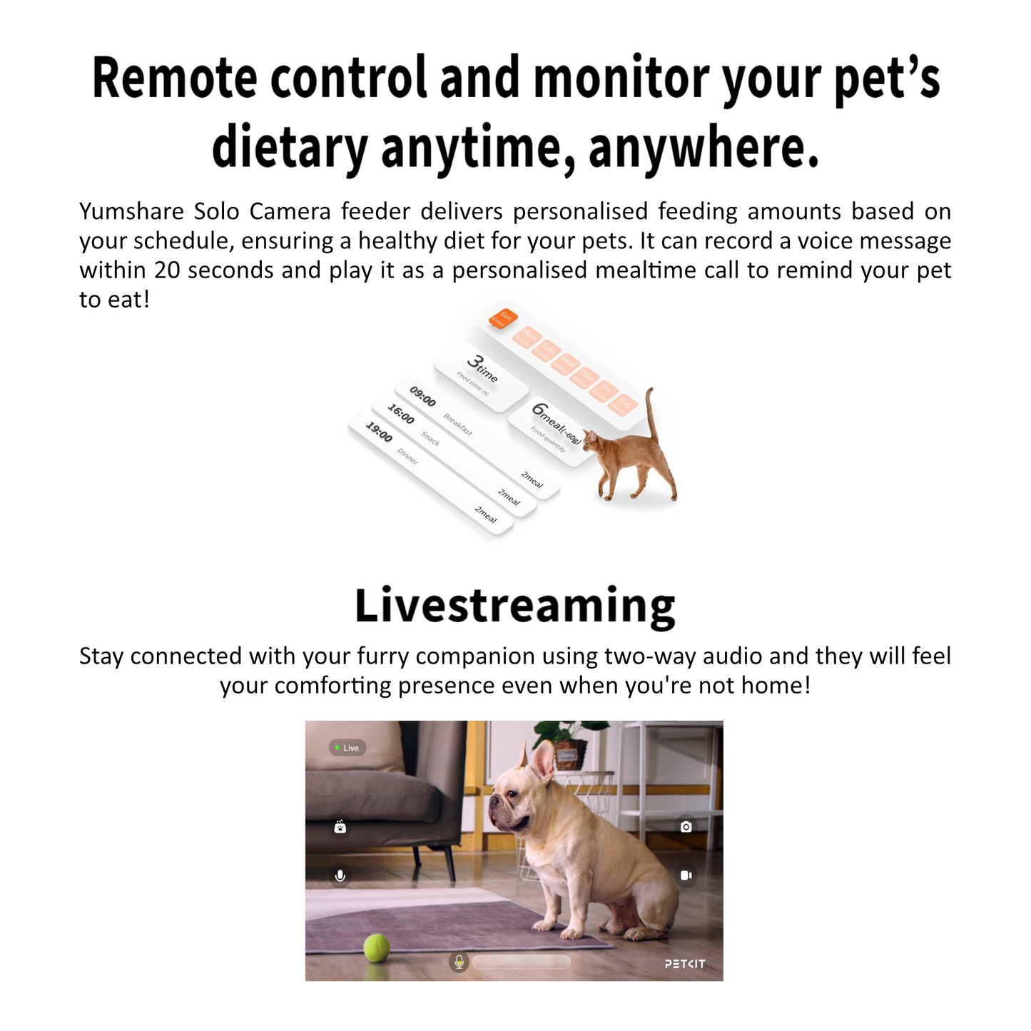 3 PRO (UVC) FOUNTAIN & YUMSHARE SOLO CAMERA FEEDER BUNDLE