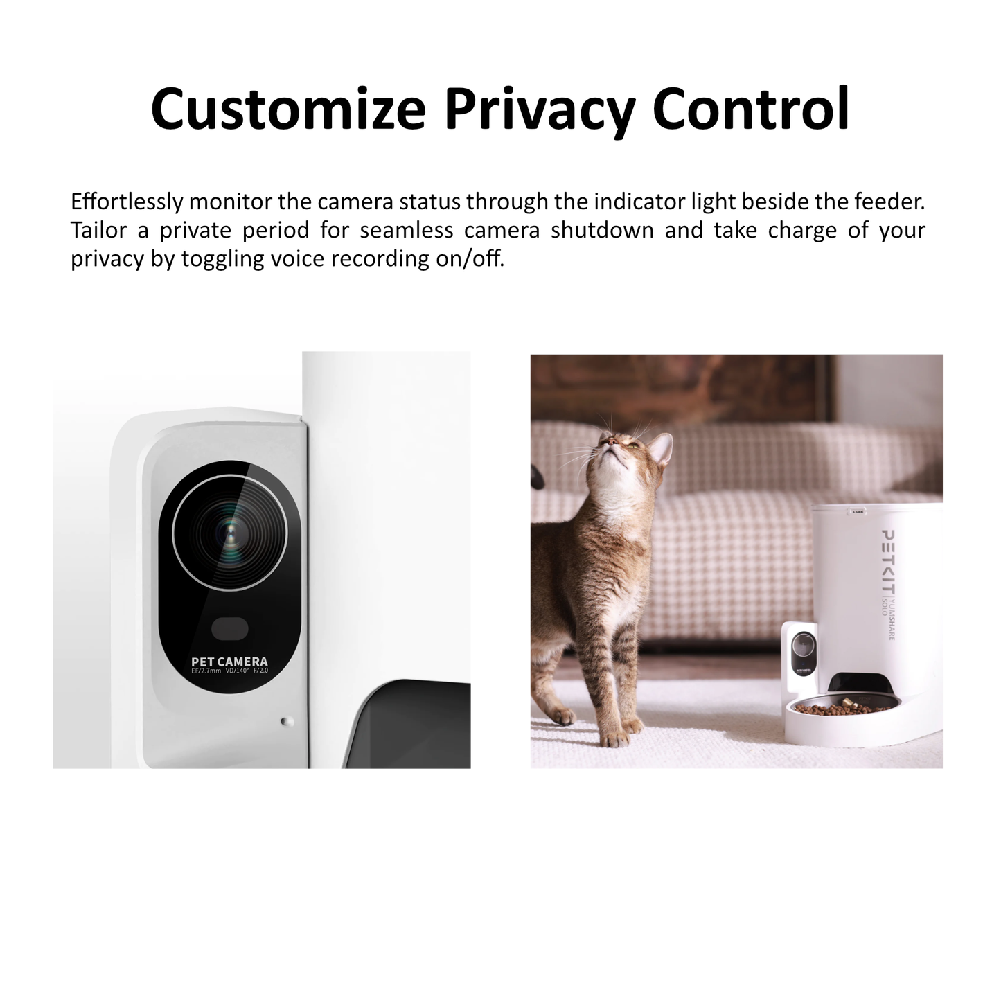 3 PRO (UVC) FOUNTAIN & YUMSHARE SOLO CAMERA FEEDER BUNDLE