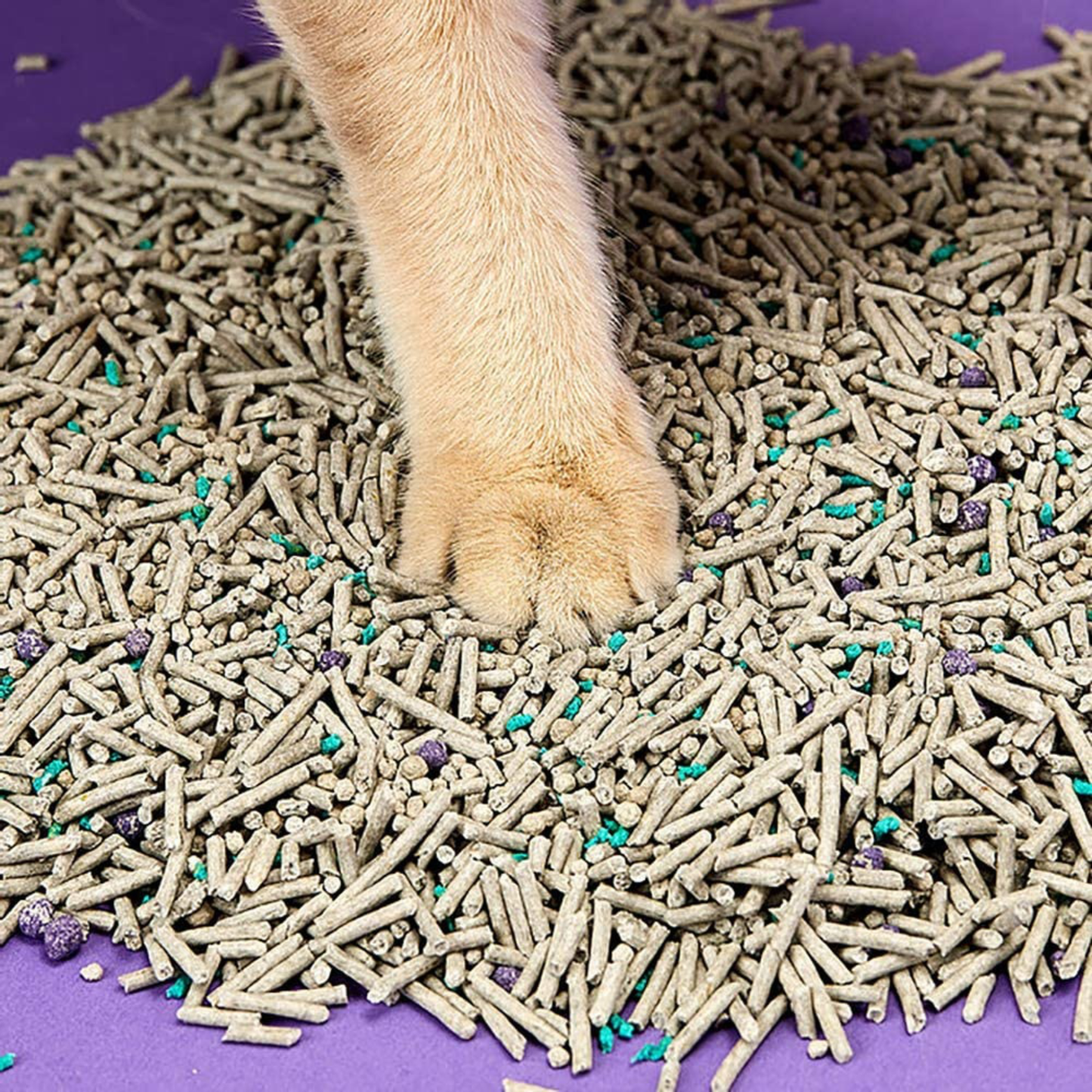5 IN 1 MIXED CAT LITTER (8 X 3.6KG)